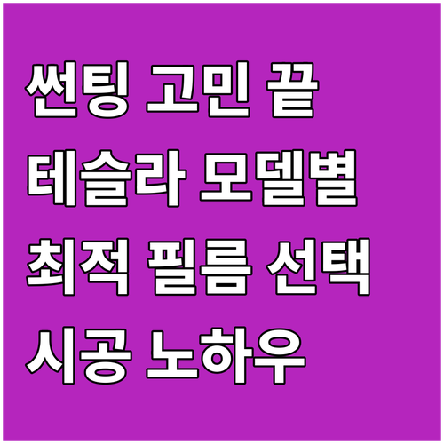 테슬라 썬팅 고민 끝: 모델별 최적 ..