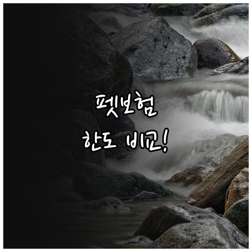 주요 펫보험사 연간 한도와 특약 비교..