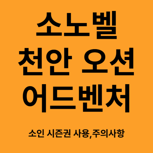 소노벨 천안 오션 어드벤처 이용기