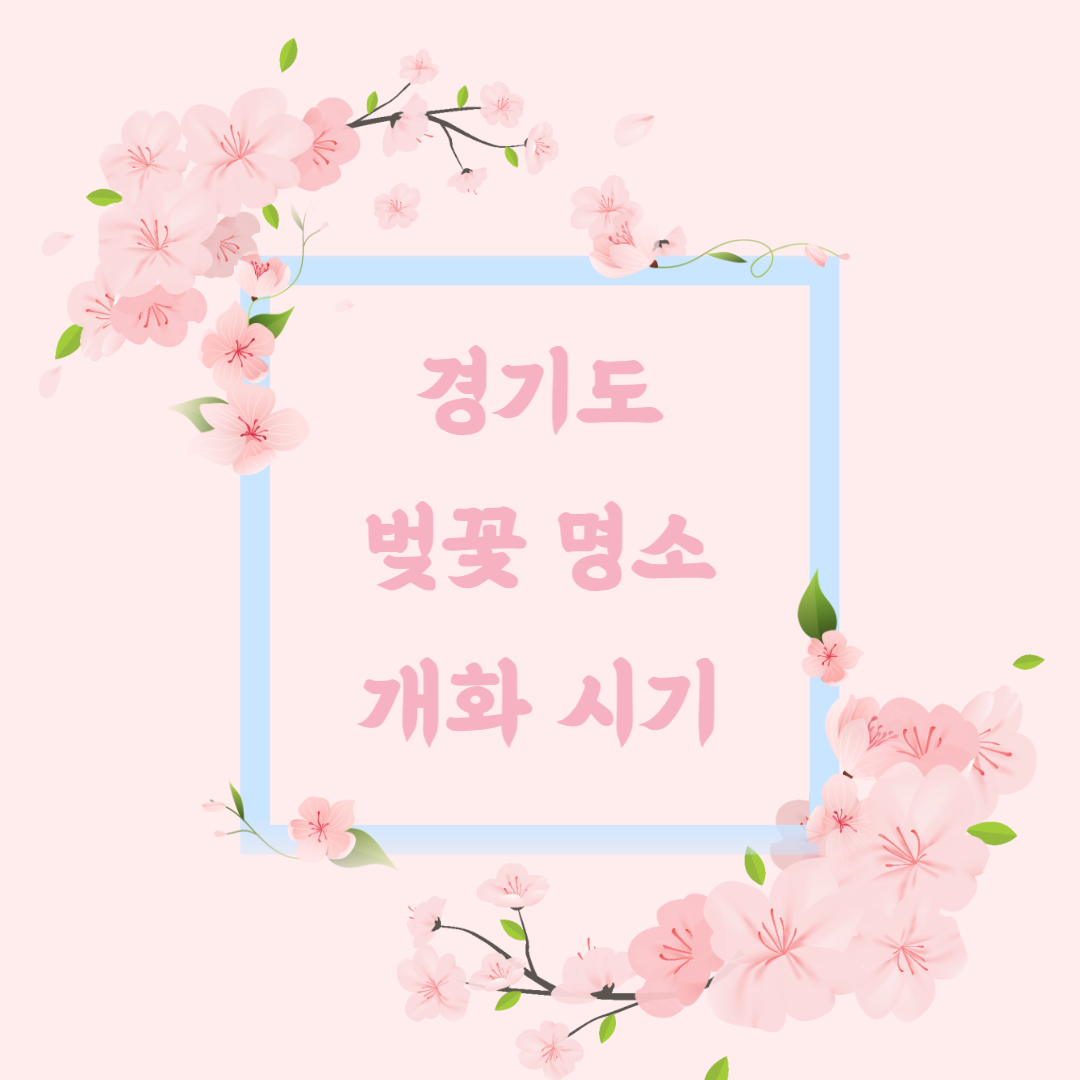 경기도 벚꽃명소 개화시기
