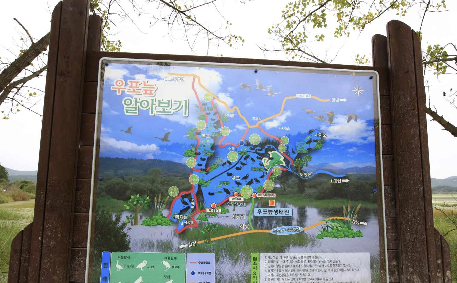 경남 창녕 우포늪 전경