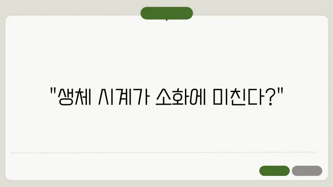 소화기 건강과 생체 시계의 관계 다이어그램