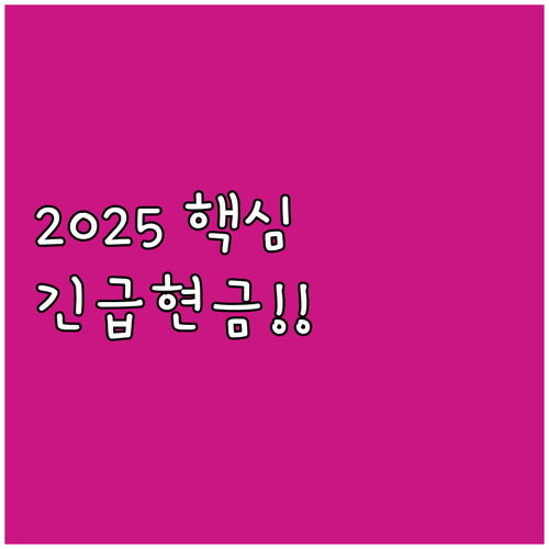 실직 질병 화재 시 2025 긴급 생..
