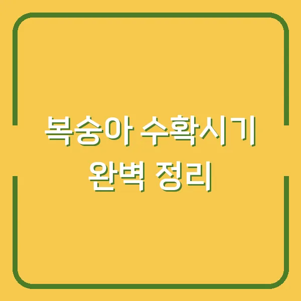복숭아 수확시기 완벽 정리
