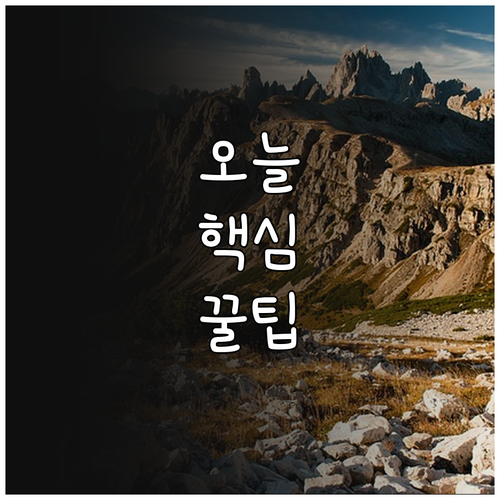 신청 없는 2025 도봉구 명절 위문..