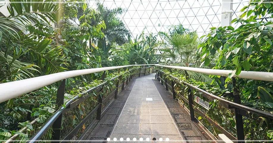 서울-식물원-입장료-운영-시간-할인