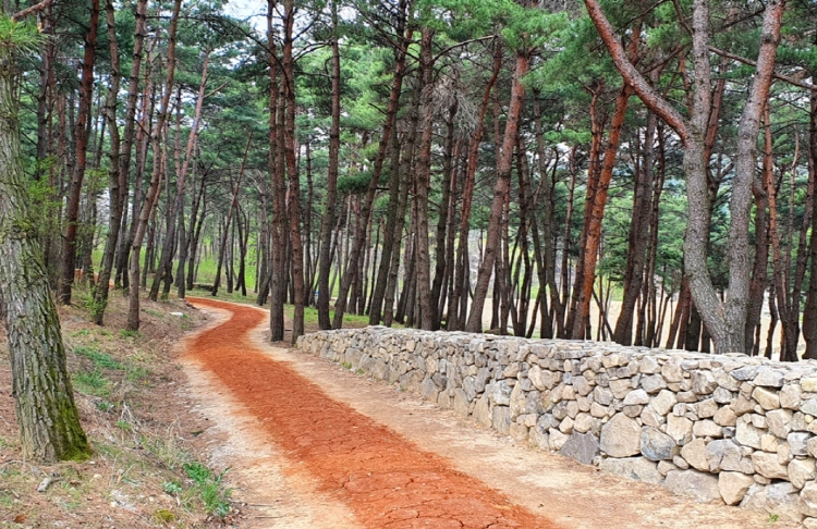 칠곡 가볼만한곳