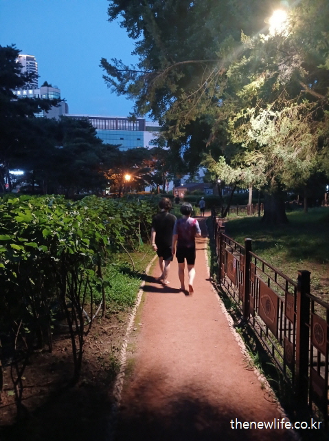 야간 황토길 맨발 걷기로 숙면 효과를 체험하는 사람들