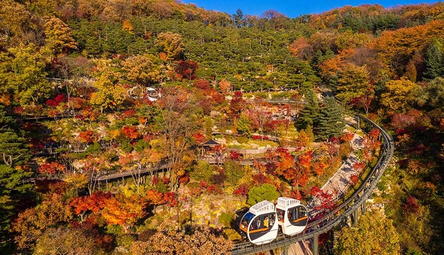 화담숲 사전예약 필수예약 방법 알아보기(+모노레일 입장권)