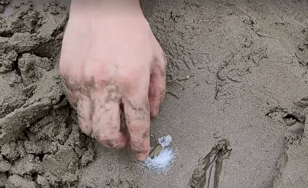 갯벌에서-맛조개잡는장면