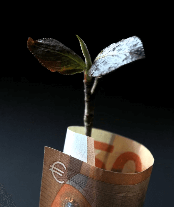 ETF vs ETN 차이점 비교: 어떤 상품이 나에게 맞을까?