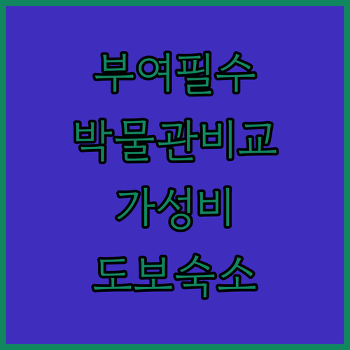 국립부여박물관 정림사지박물관 비교 분..