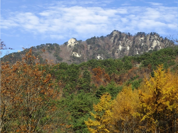 용화산
