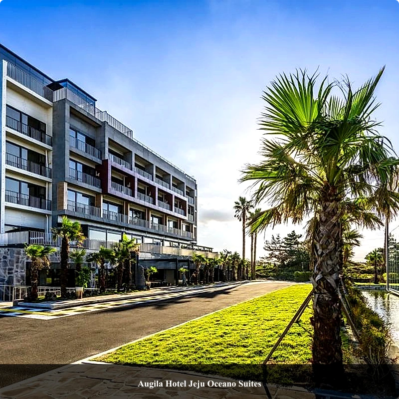 Augila Hotel Jeju Oceano Suites_4