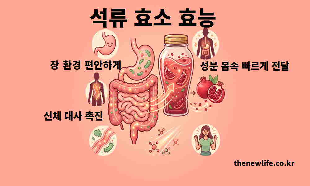 석류 효소 효능