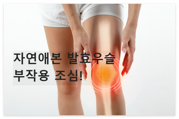 자연애본 발효우슬