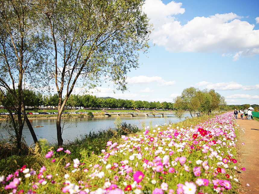 충남 아산시 곡교천파크골프장 소개