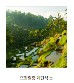 발리 가볼만한 곳