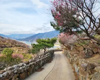광양 매화축제_15