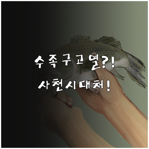 아이 수족구 고열 물집 대처 사천시 ..