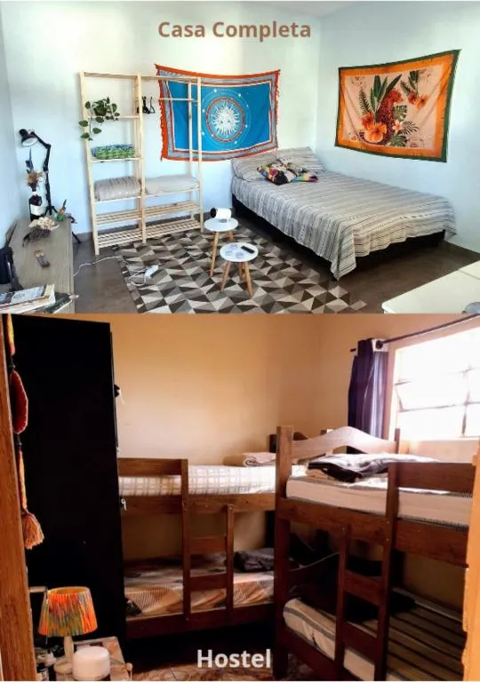 상토 선택 화분심기 초보기준 비료섞는법 안전 가이드_4