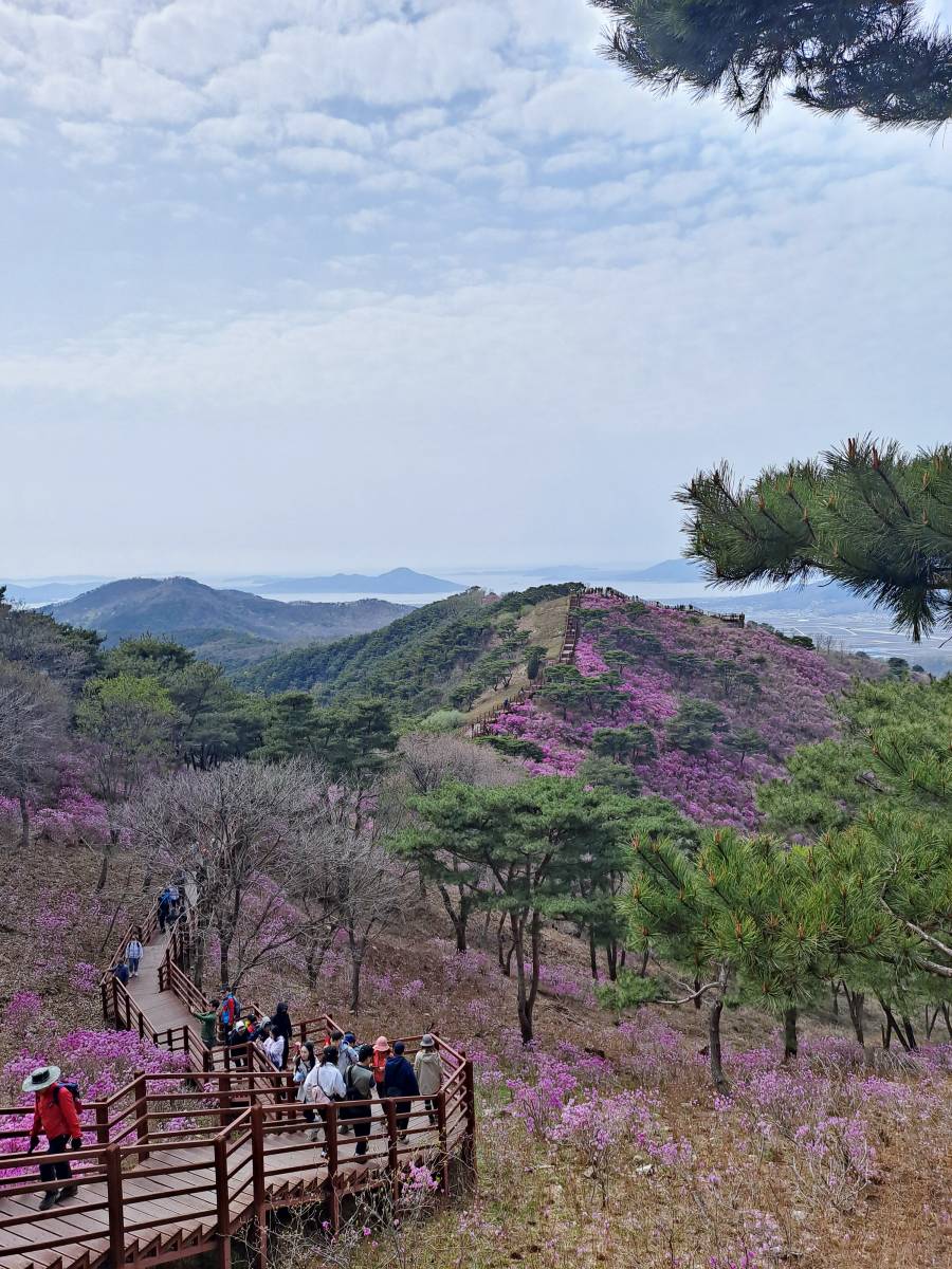 저 멀리 이어진 데크길