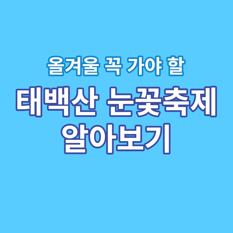 태백산 눈꽃축제 알아보기