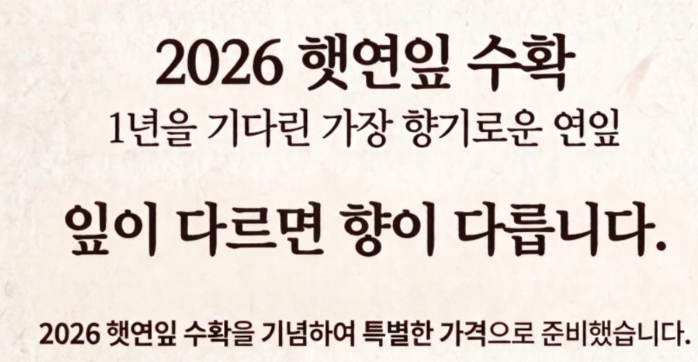 부안-연잎-명당연향