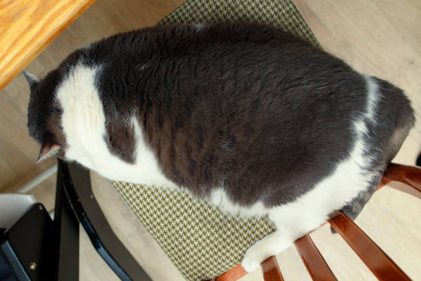 생활 습관 개선하기