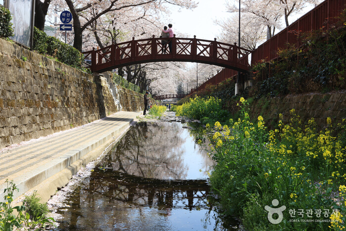 경남 창원 진해 가볼만한 곳 벚꽃 명소 여좌천 볼거리