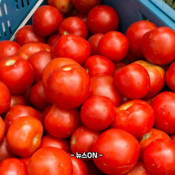 칼륨이 많은 음식