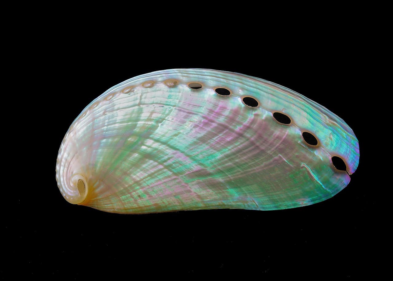 자개 공예의 매력 직접 만드는 한국 전통 공예 취미