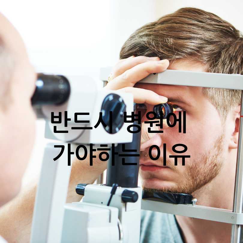 비문증(날파리증)