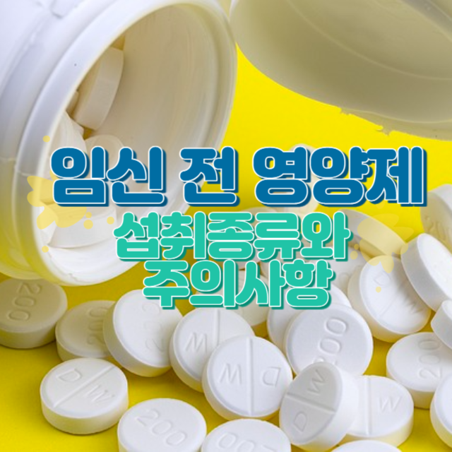 임신 전 영양제 섭취 종류와 주의사항