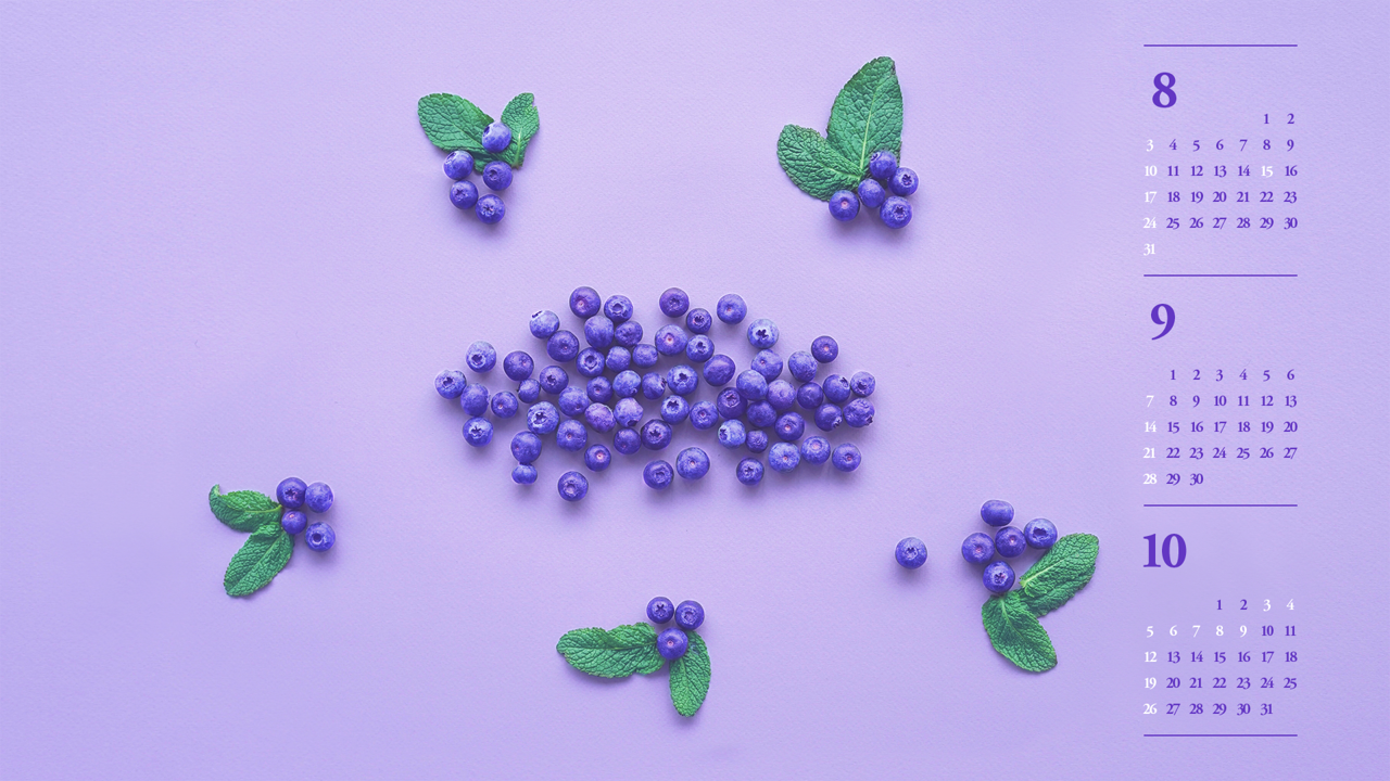 05 블루베리 B - 2025년9월 노트북배경화면