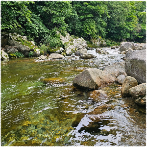 달궁계곡