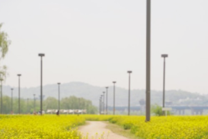 서울 5월 축제 일정