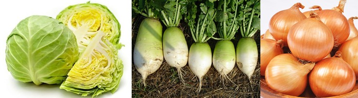 가을에 심어 겨울철과 이른 봄에 수확할 수 있는 농작물 심는법 - 양배추, 무, 양파