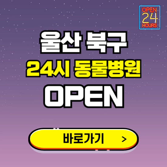 울산 북구 24시 동물병원 진료하는 곳 ❘ 설날 휴일 야간 심야 문여는곳 찾기 ❘ 응급진료