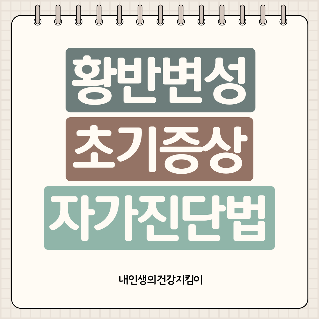 황반변성 초기증상 자가진단법