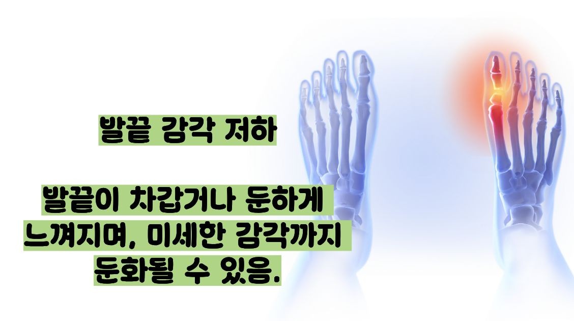 추간판 탈출증 증상