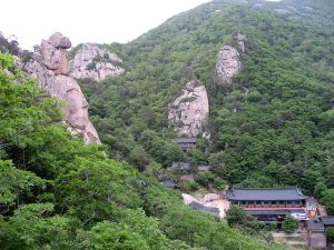 봄에 가기 좋은 사찰