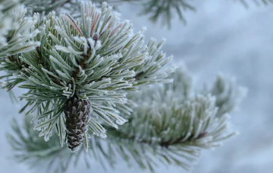 연말인사에 대하여 알아보기