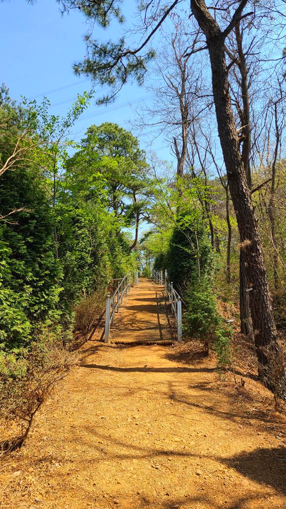 용도수목원산책로