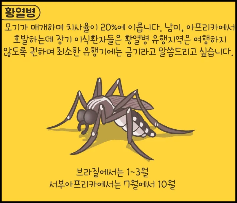 남미 황열병 예방접종 후기 경험과 준비사항_3