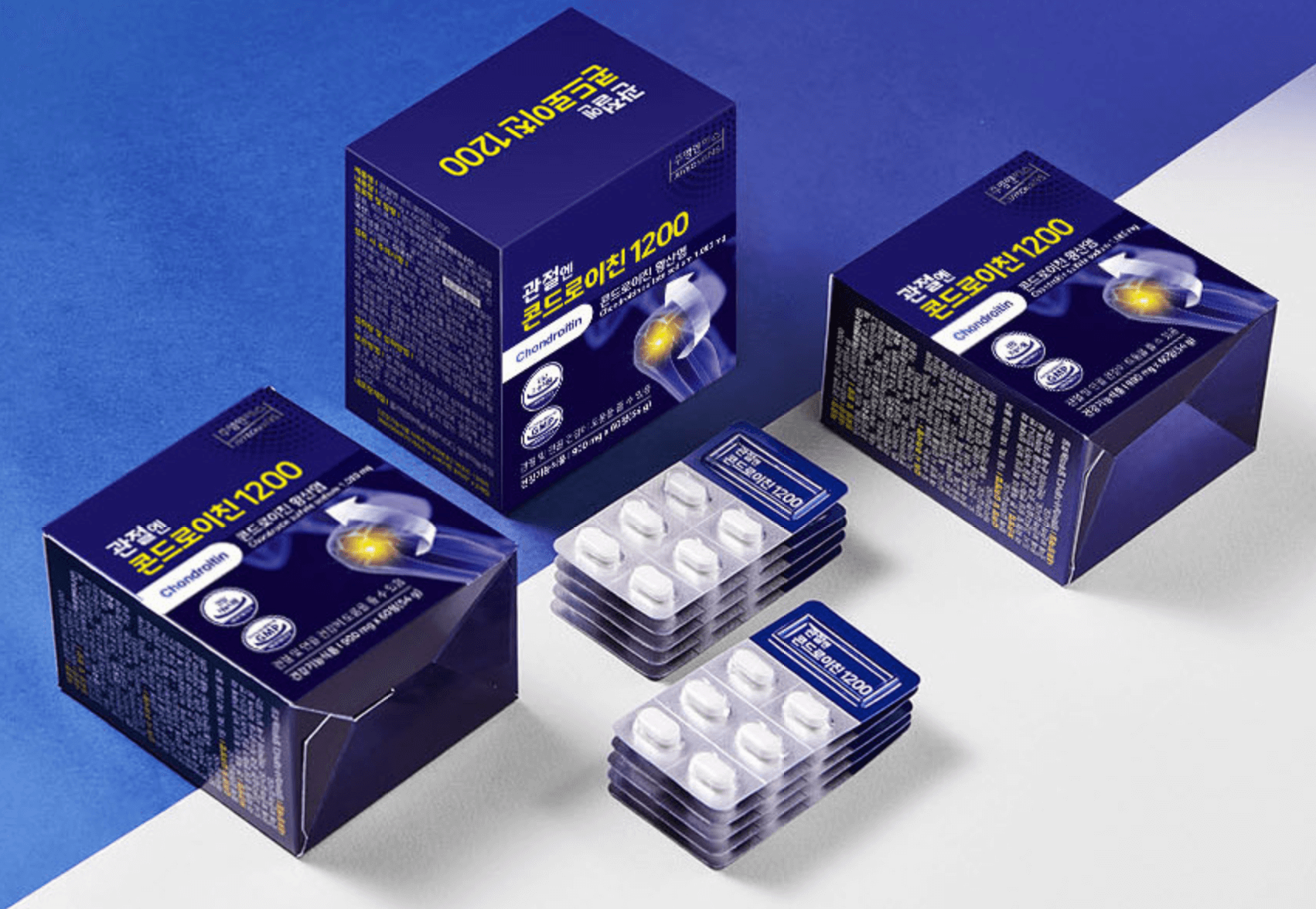 콘드로이친 1200