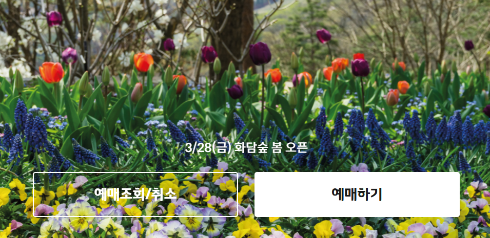 화담숲