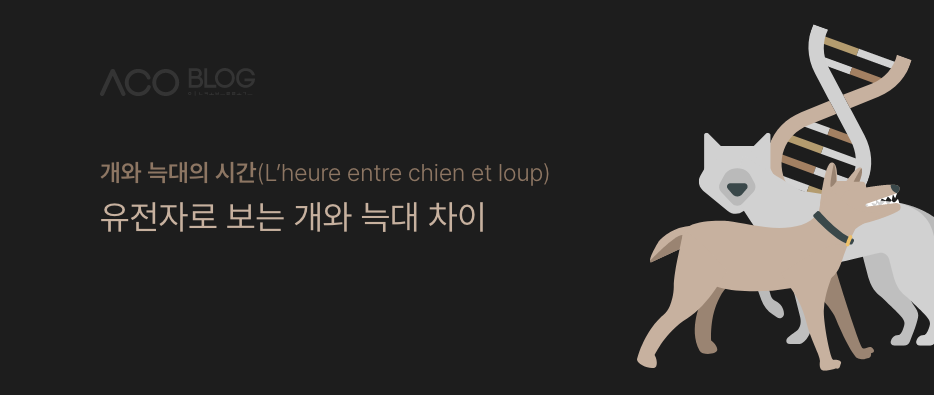 개와 늑대의 시간