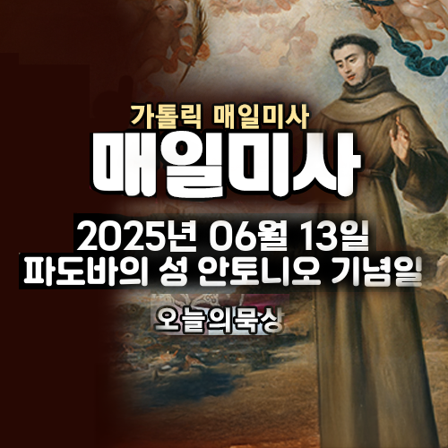 2025년 6월 13일 매일미사 파도바의 성 안토니오 기념일 오늘의 묵상