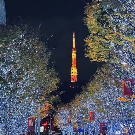 도쿄 대표 일루미네이션 롯폰기